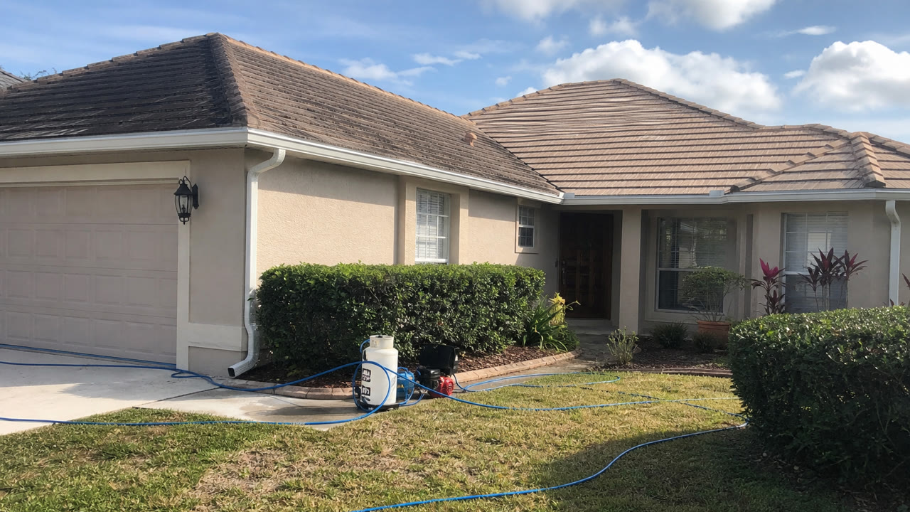 Orlando Roof Cleaning Algae Soft Wash near Orlando